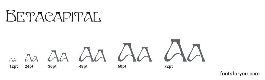 Размеры шрифта Betacapital