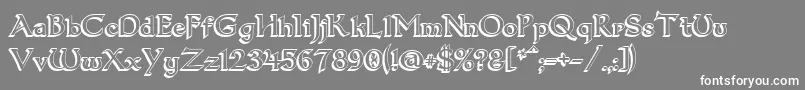 フォントDumbledor13D – 灰色の背景に白い文字