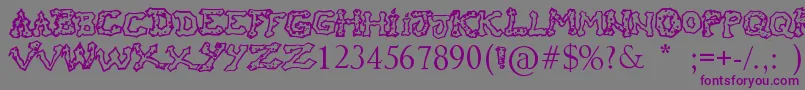 RaslaniHoOh Font – Purple Fonts on Gray Background