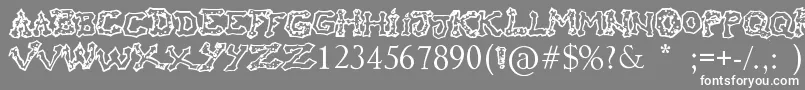 フォントRaslaniHoOh – 灰色の背景に白い文字