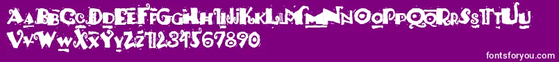 PaulsSouthPacific Font – White Fonts on Purple Background