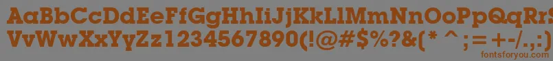 LubalinGraphBoldBt Font – Brown Fonts on Gray Background