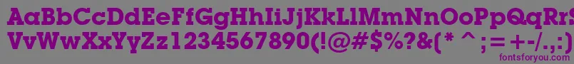 LubalinGraphBoldBt Font – Purple Fonts on Gray Background