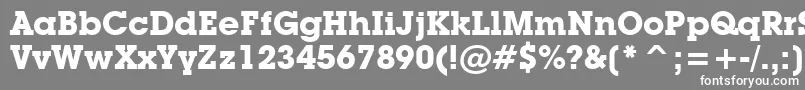 LubalinGraphBoldBt Font – White Fonts on Gray Background