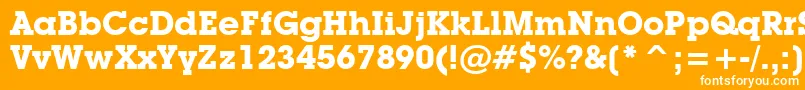 LubalinGraphBoldBt Font – White Fonts on Orange Background
