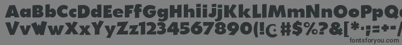 WalibiHolland-Schriftart – Schwarze Schriften auf grauem Hintergrund