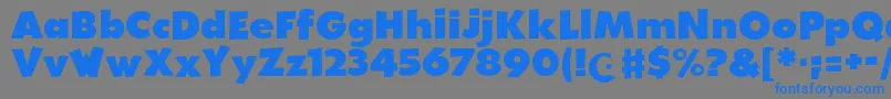WalibiHolland-fontti – siniset fontit harmaalla taustalla