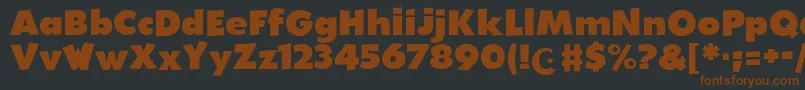 WalibiHolland Font – Brown Fonts on Black Background