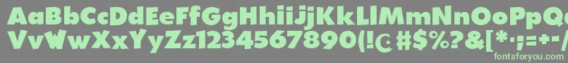 WalibiHolland-fontti – vihreät fontit harmaalla taustalla