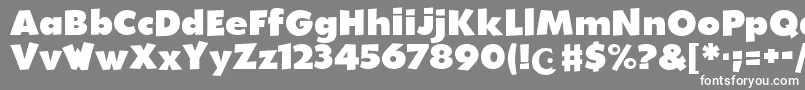WalibiHolland Font – White Fonts on Gray Background