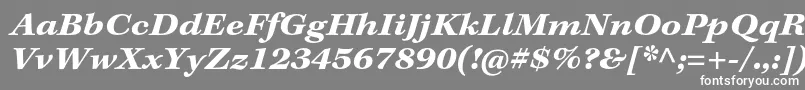 フォントKeplerstdBoldextitcapt – 灰色の背景に白い文字