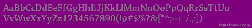ChaparralproSemiboldsubh Font – Gray Fonts on Purple Background
