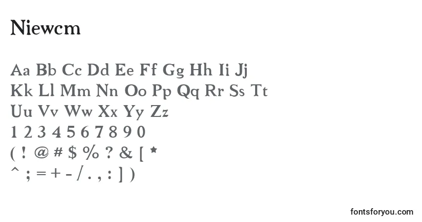 Шрифт Niewcm – алфавит, цифры, специальные символы