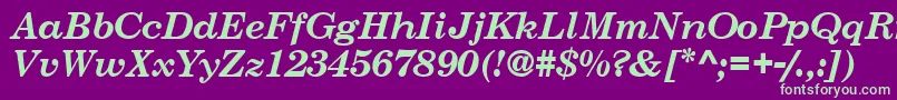 CenturySchoolbookSsiBoldItalic Font – Green Fonts on Purple Background