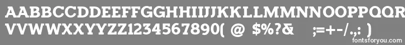 フォントHorsebackslabBold – 灰色の背景に白い文字