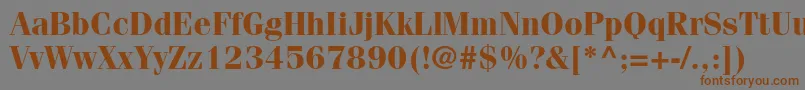 FenicestdBold-Schriftart – Braune Schriften auf grauem Hintergrund