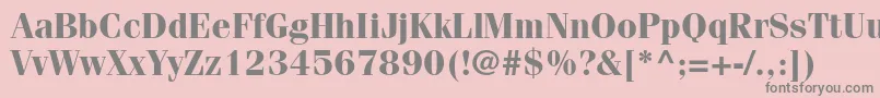 FenicestdBold Font – Gray Fonts on Pink Background
