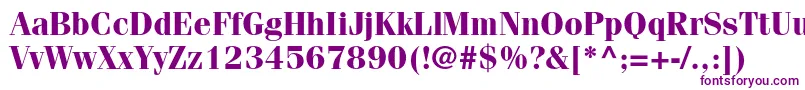 FenicestdBold Font – Purple Fonts on White Background