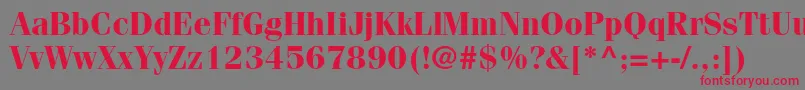 FenicestdBold Font – Red Fonts on Gray Background