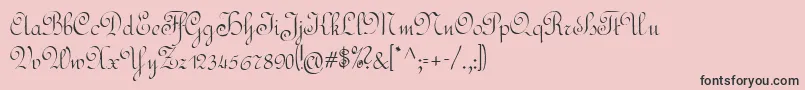 フォントRundschrift – ピンクの背景に黒い文字