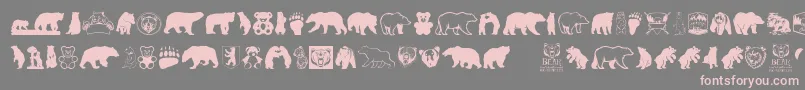 BearIcons-Schriftart – Rosa Schriften auf grauem Hintergrund