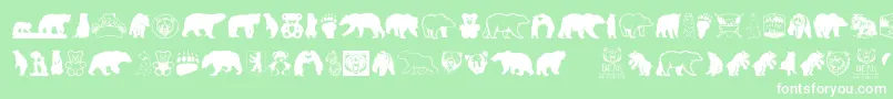 fuente BearIcons – Fuentes Blancas Sobre Fondo Verde