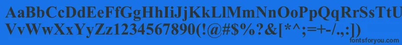 TimesNewRomB Font – Black Fonts on Blue Background