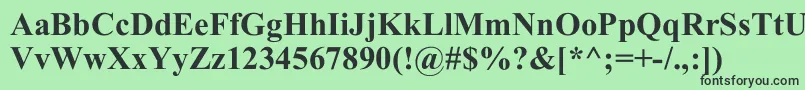 TimesNewRomB Font – Black Fonts on Green Background