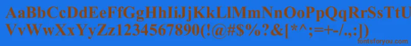 TimesNewRomB Font – Brown Fonts on Blue Background