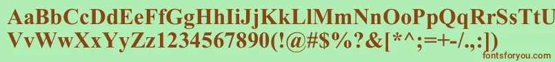 TimesNewRomB Font – Brown Fonts on Green Background
