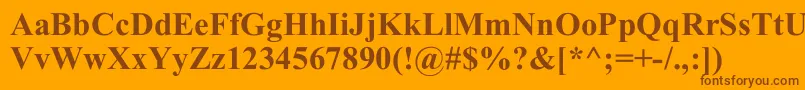 TimesNewRomB Font – Brown Fonts on Orange Background