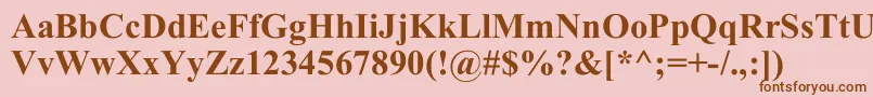 TimesNewRomB Font – Brown Fonts on Pink Background