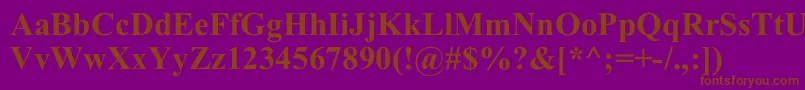 TimesNewRomB Font – Brown Fonts on Purple Background