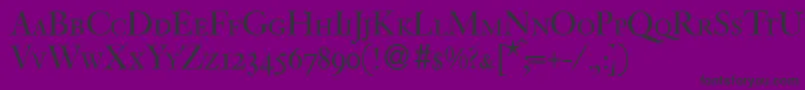 VanlocapsdbBold Font – Black Fonts on Purple Background