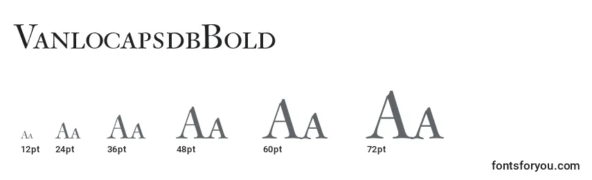 VanlocapsdbBold Font Sizes