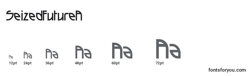 SeizedFutureA Font Sizes