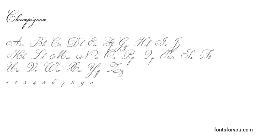 Schriftart Champignon – Alphabet, Zahlen, spezielle Symbole
