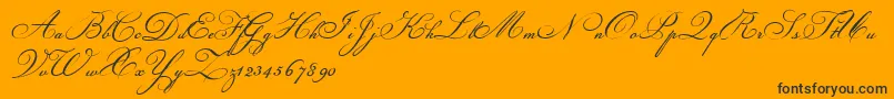 Champignon Font – Black Fonts on Orange Background