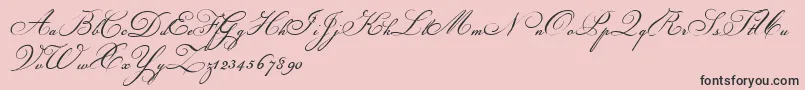 Champignon-Schriftart – Schwarze Schriften auf rosa Hintergrund
