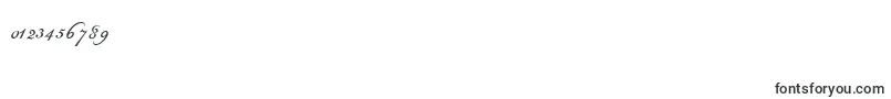 Champignon Font – Fonts for Numbers and Digits