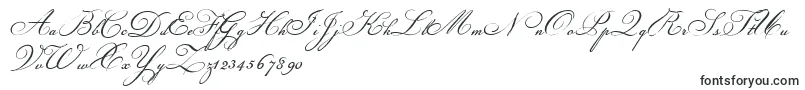 Czcionka Champignon – czcionki kaligraficzne