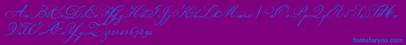 Fonte Champignon – fontes azuis em um fundo violeta