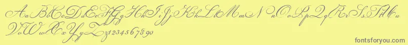 フォントChampignon – 黄色の背景に灰色の文字