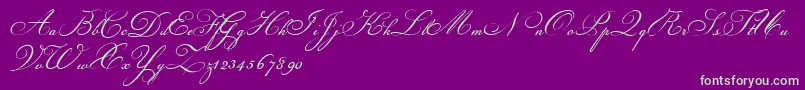 Champignon-fontti – vihreät fontit violetilla taustalla