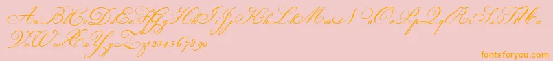 Champignon-Schriftart – Orangefarbene Schriften auf rosa Hintergrund