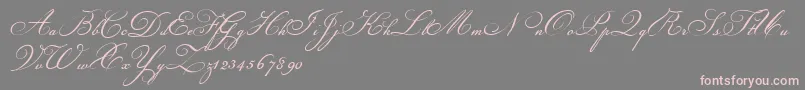 Champignon-fontti – vaaleanpunaiset fontit harmaalla taustalla