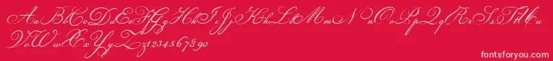 Champignon-fontti – vaaleanpunaiset fontit punaisella taustalla