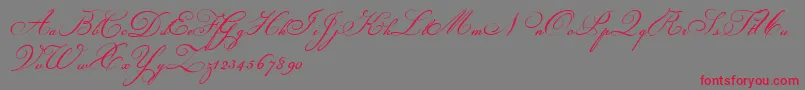 Champignon Font – Red Fonts on Gray Background