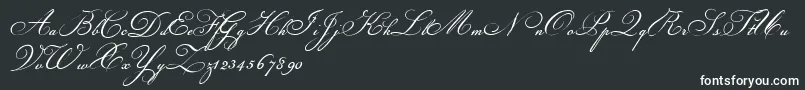 Champignon Font – White Fonts on Black Background