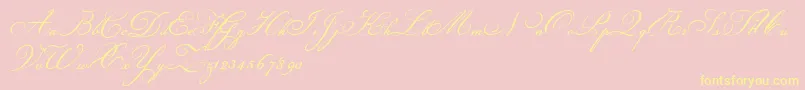 Champignon-Schriftart – Gelbe Schriften auf rosa Hintergrund